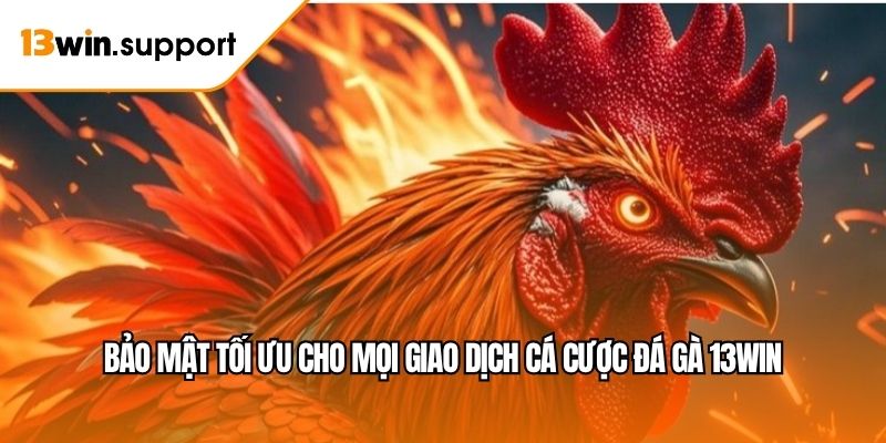 Bảo mật tối ưu cho mọi giao dịch cá cược đá gà 13WIN